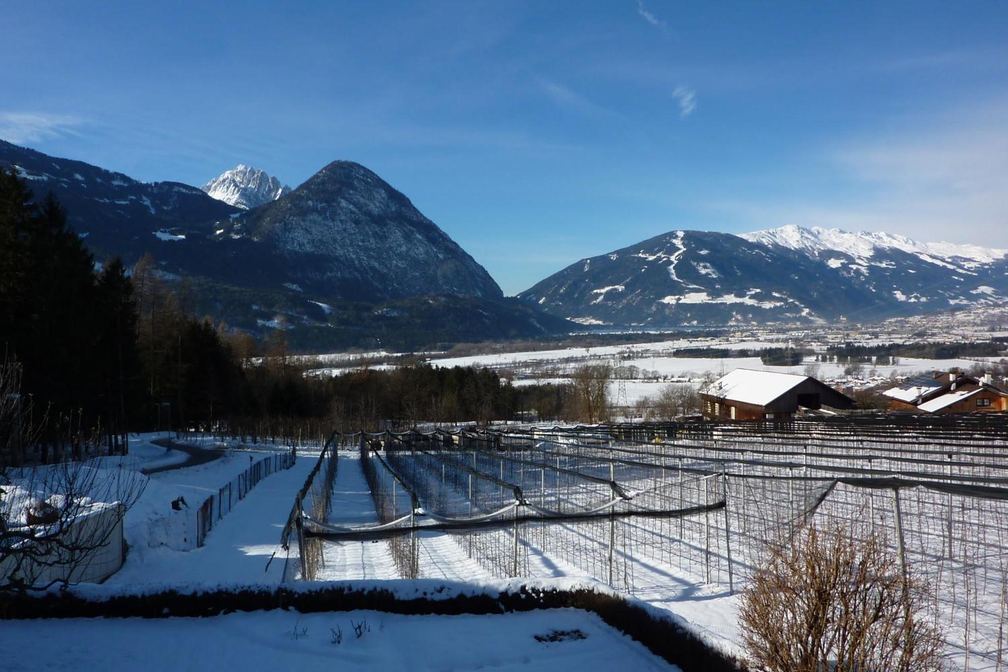 Apartmán Haus Zwischenberger Dölsach Exteriér fotografie